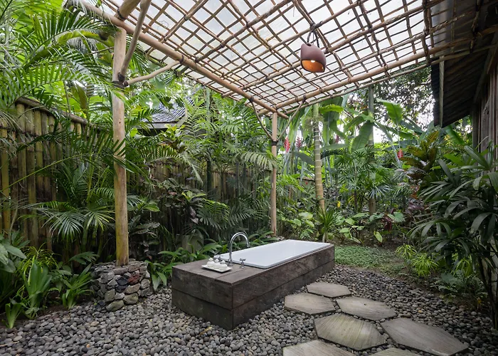 Otel Korurua Dijiwa 4*